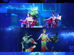 -正佳雨林生态植物园
