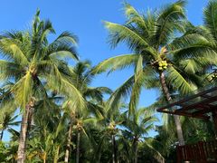 -三亚海棠湾万丽度假酒店