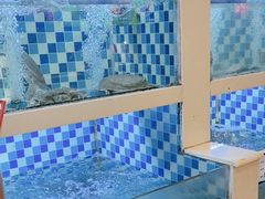 -野渡坡·极致湘菜·庭院餐厅(汉阳店)