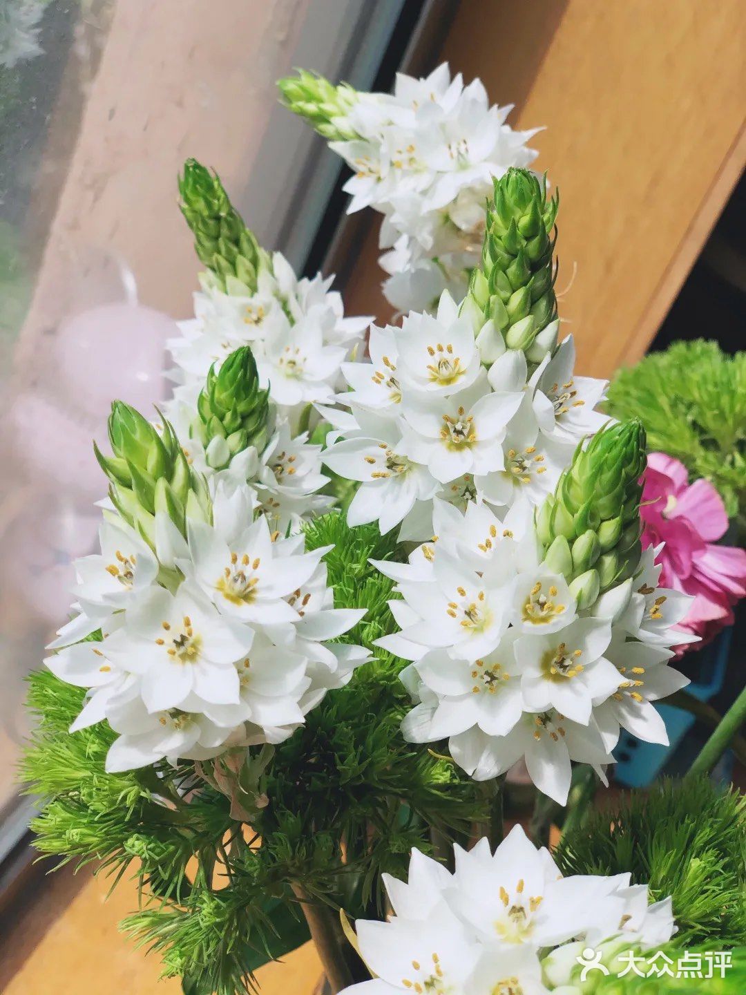 童年的芬芳[糖果]槐花香[调皮]一年只有这几天[双手合十]珍惜好时光
