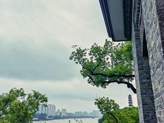 -江心屿景区