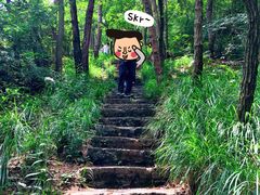 -青龙山国家森林公园
