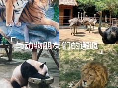 -栾川竹海野生动物园