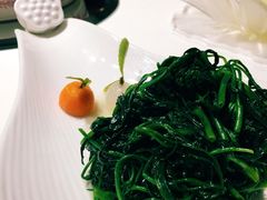 -西郊5号·Maggie 5