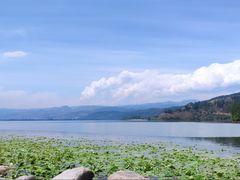 -西昌邛海湿地