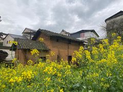 -新安江山水画廊风景区