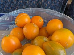 -南坛综合农贸市场