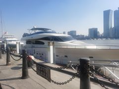 -上海港国际客运中心1号游艇码头