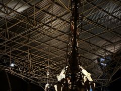 -世界恐龙谷景区