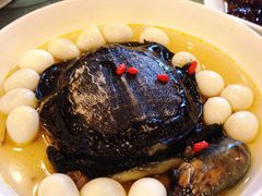 -中国饭店-餐厅