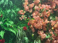 -JOJO实景沉浸侦探剧本杀(大悦城店)