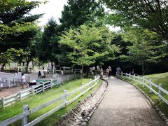 -神户市立六甲山牧场