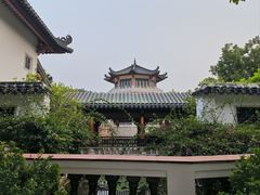 -广东花都湖国家湿地公园