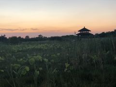 -梁鸿国家湿地公园