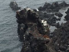 -龙头岩(Dragon Head Rock)