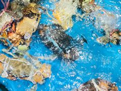 -一闻香迷宗蟹(金华江南店)