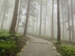 -罗田薄刀峰风景区
