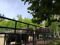 -秦皇岛野生动物园