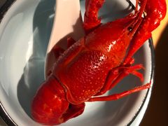 -蚝翅·海鲜粥·烧烤·宁夏滩羊季(玉米楼店)