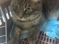 -瑞派康怡24h宠物医院·犬猫医疗中心·微创绝育(瑞景分院)