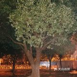 学院附近学府公园打卡攻略