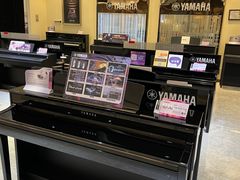 -知音艺术教育培训·钢琴培训·音乐培训(河西金鹰世界校区)