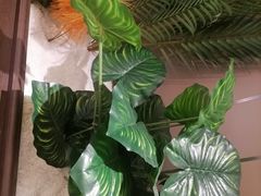 -蜀厨小匠·民间川菜(犀浦店)