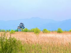 -野鸭湖国家湿地公园