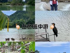-明仕田园