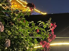 -青州古城
