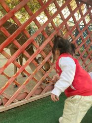 -萌宠亲子动物乐园(槐房万达店)