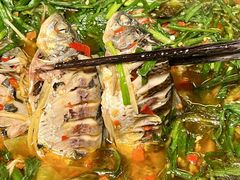 -蜀厨小匠·民间川菜(犀浦店)