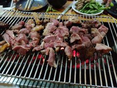 -海拉尔碳烤羊腿烤鸽子(吕营店)