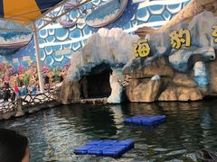 -华夏文旅海洋公园