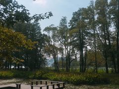 -东湖落雁景区