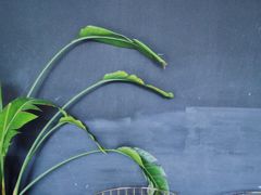 大堂-UNIUNI(凯瑟琳广场店)