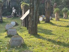 -南山植物园