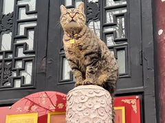 -古大圣慈寺