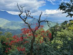 -青城山