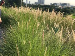 -光明小镇欢乐田园