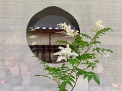 -曲廊院(东四十一条店)