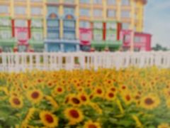 -广州花之恋城堡酒店