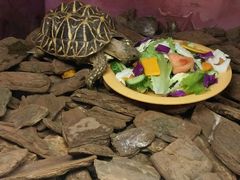 -上海大自然野生昆虫馆