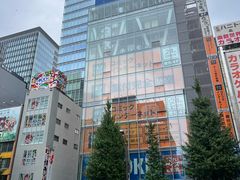 -秋叶原电器街