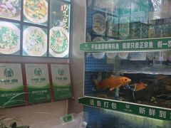 -全乐鱼馆·淳牌有机鱼直营店