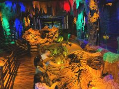 -乐山乌木文化博览苑