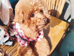 -星巴克臻选(成都宽窄巷子店)