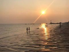 -猫咪博物馆(顶澳仔猫街店)