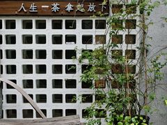 -扫雪煮茶(西村店)