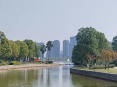 -金沙湖公园
